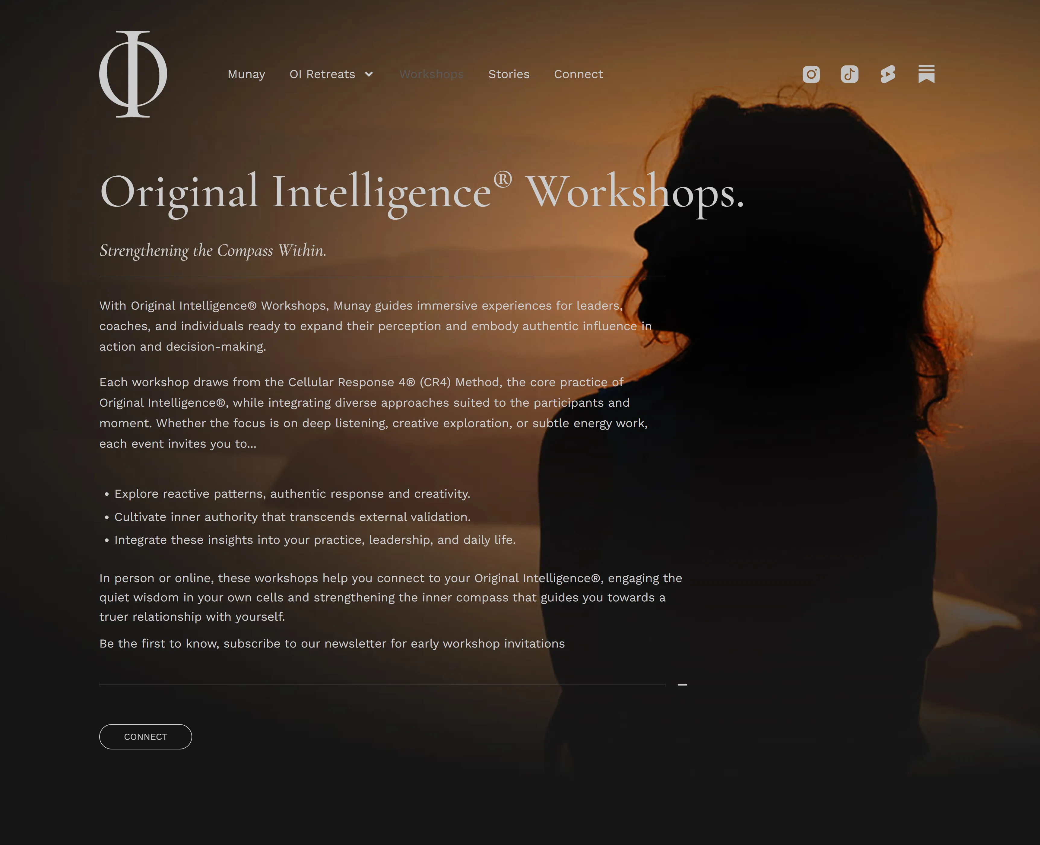 Original Intelligence screenshot