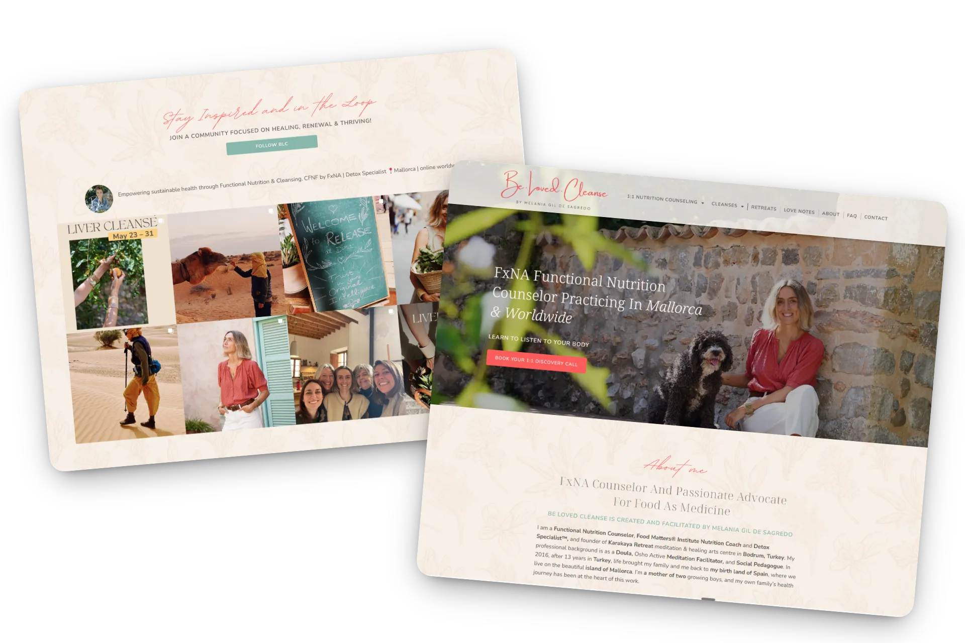 Blc dual page transparent